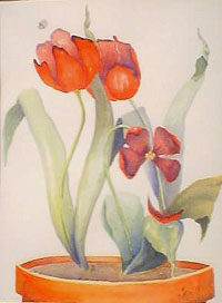 visitingdyingtulips.jpg